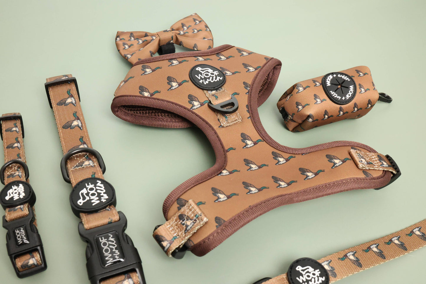Bow - Duck Hunting Dog