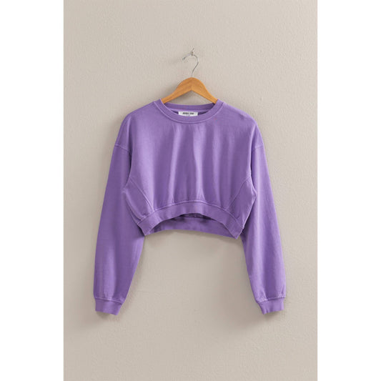 Crew Neck Long Sleeve Crop Sweatshirt: WISTERIA / S-M-L(2-2-2)